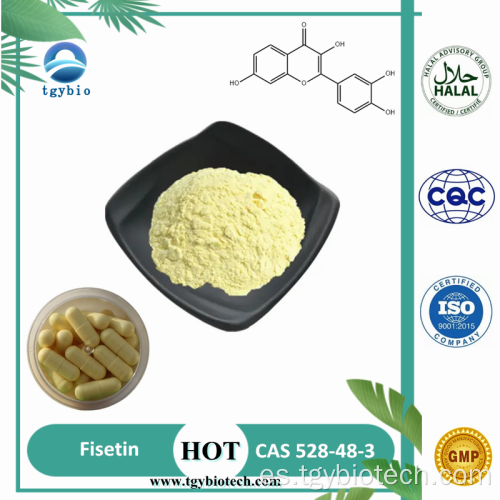 100% Natural Cotinus Coggygria Extracto de polvo Fisetina 98%